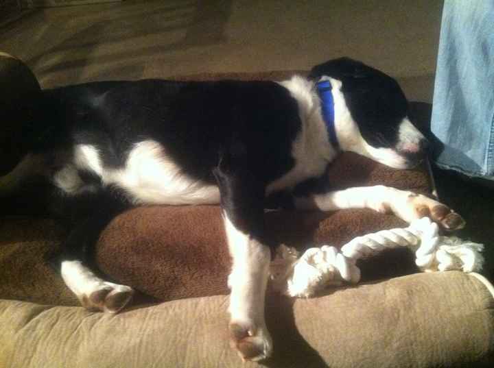 Meet the newest addition to our family!