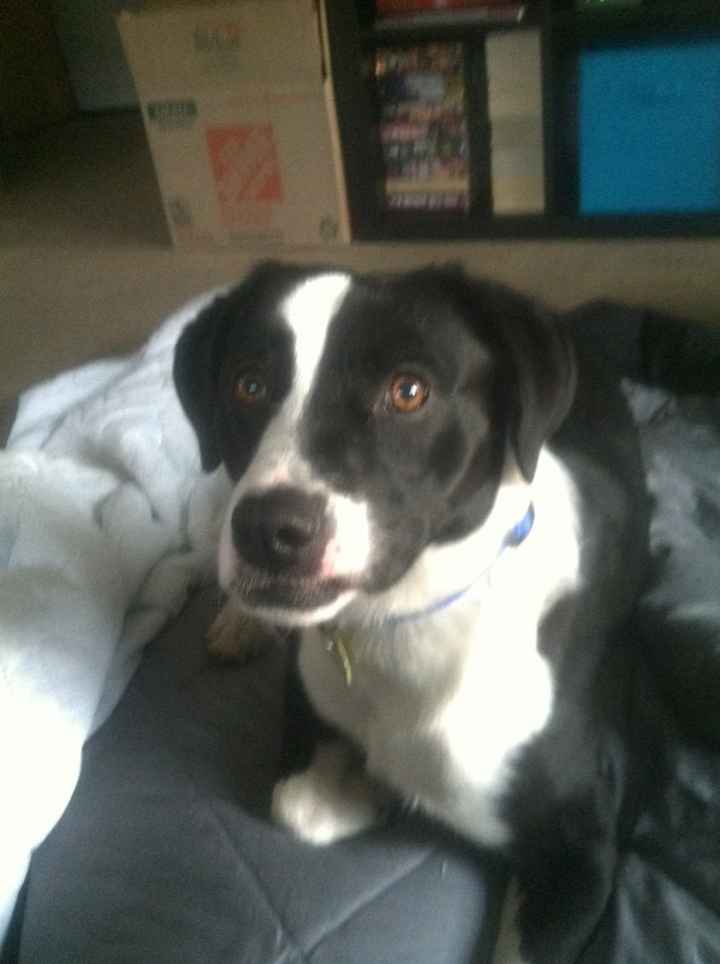 Meet the newest addition to our family!