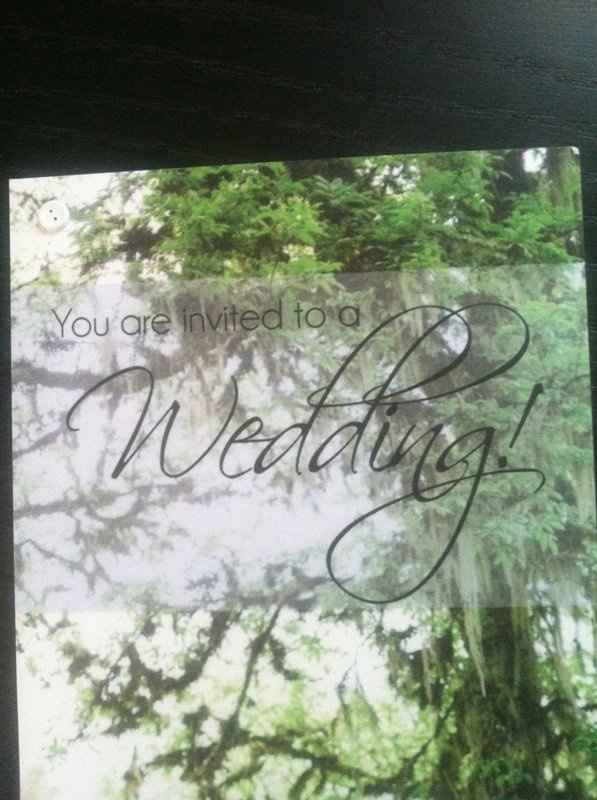 My DIY invites! Pics! (UPDATED w/ VP costs in comments!)