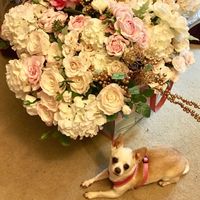 How did your pet "help"?