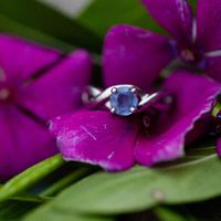 How involved were you in engagement ring shopping? - 2