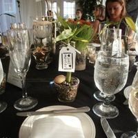 Weird. I have a husband now!!!! (pic heavy!)