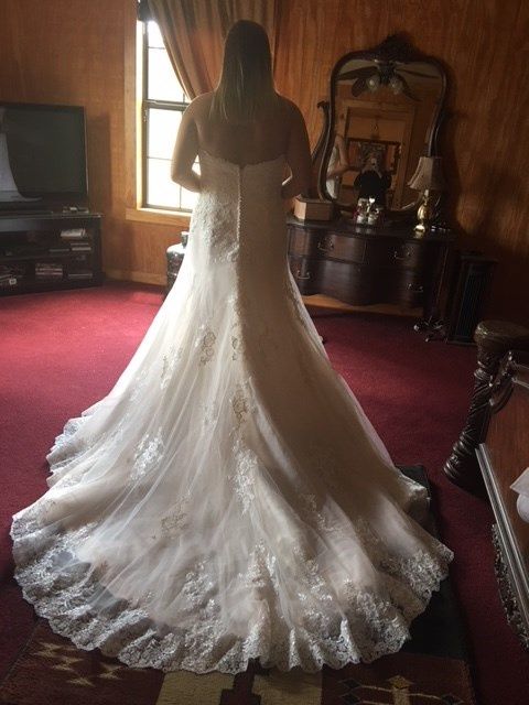 Back of dress