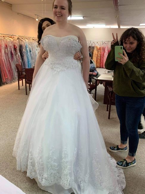 Wedding Dress Budget - 2