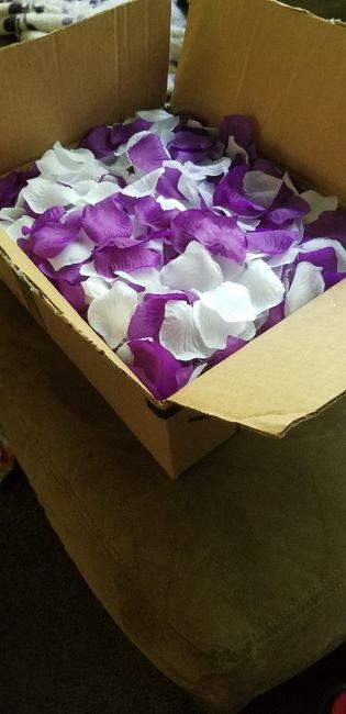 Number of flower petals - 1
