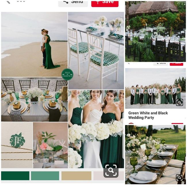 My fiancé doesn’t like my wedding colors 4