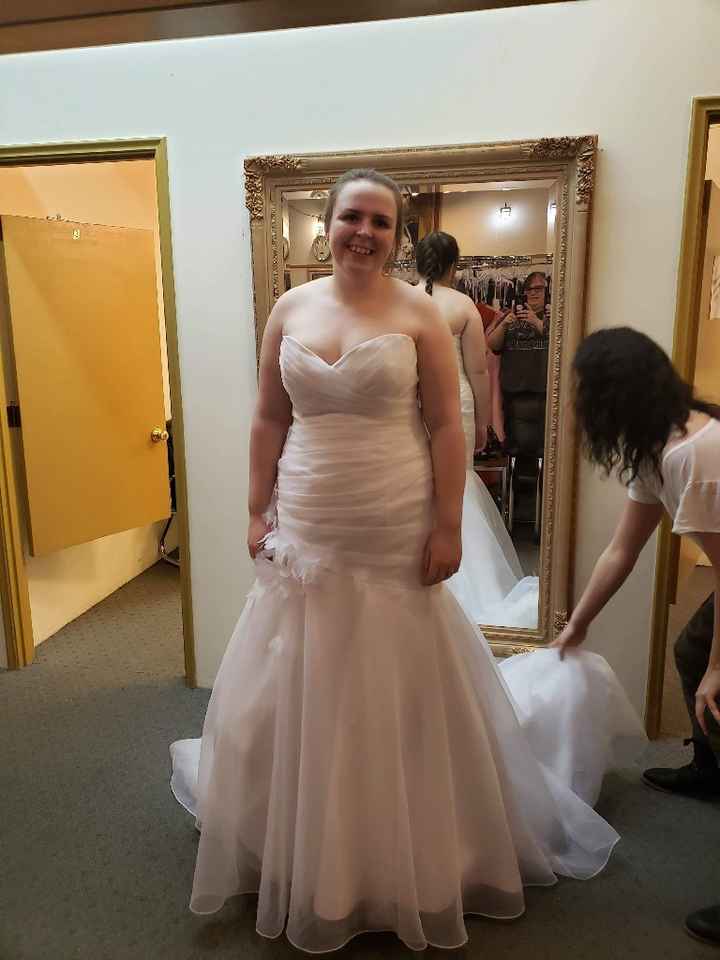 Wedding Dress Budget - 4