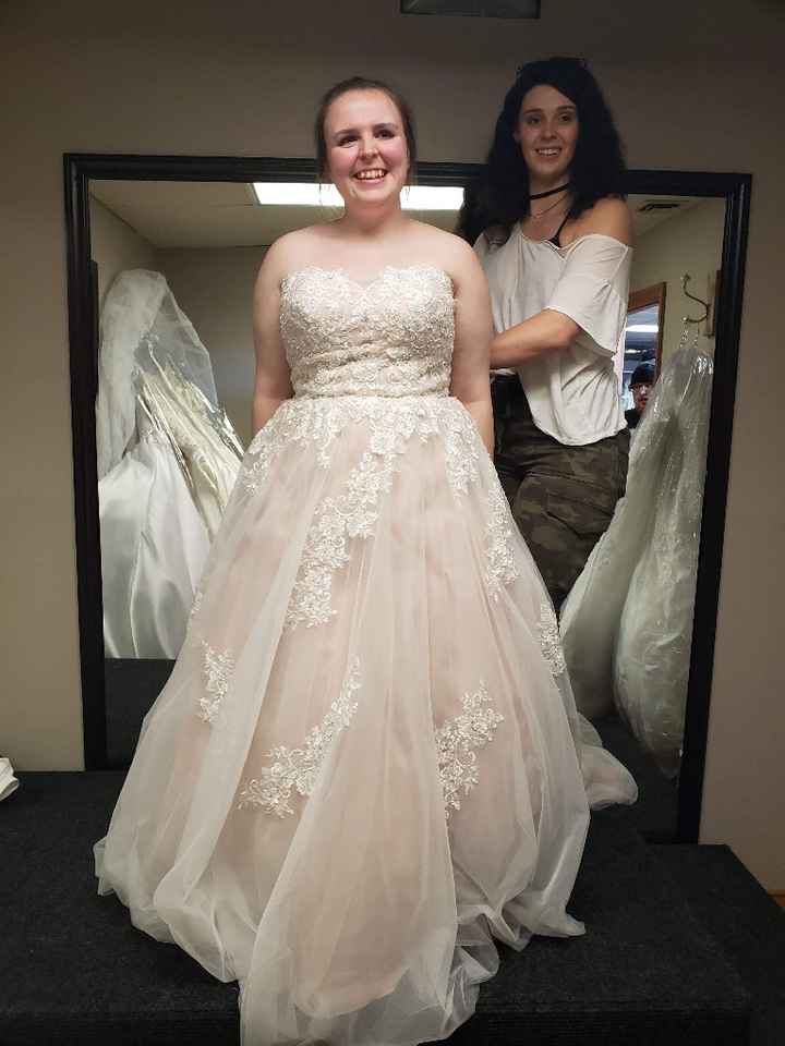 Bridesmaid Dresses... the drama. - 2