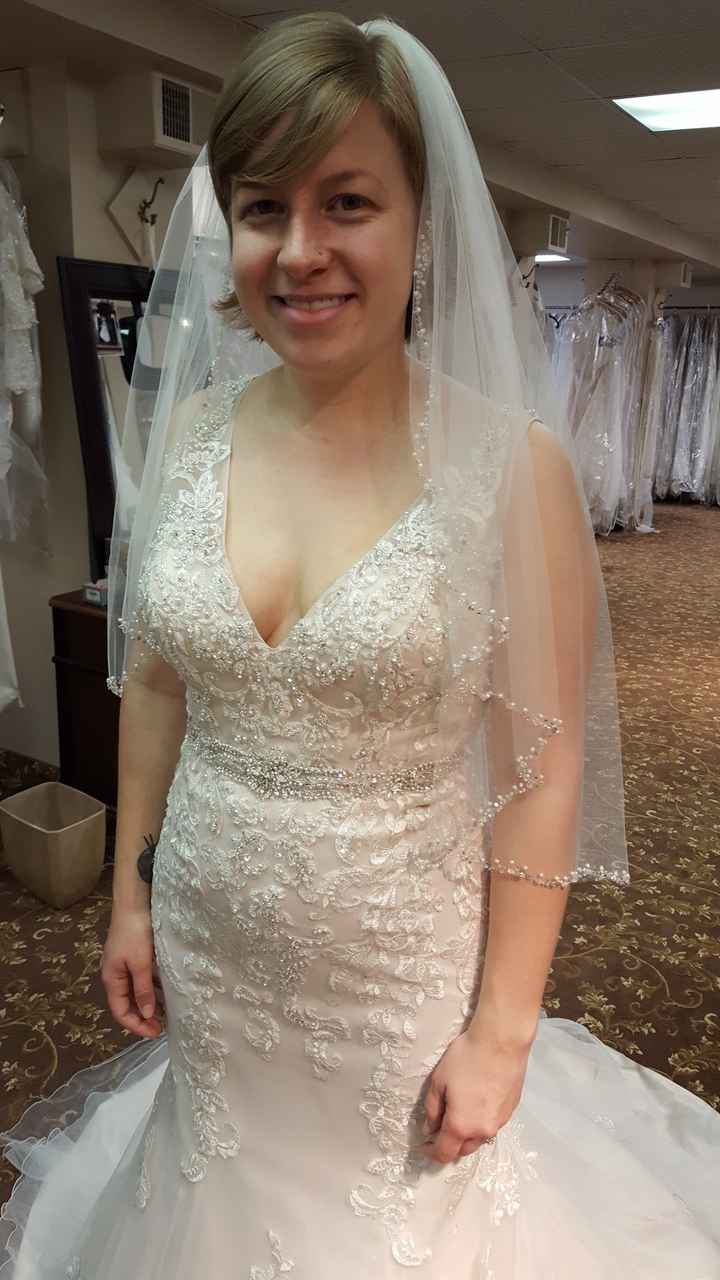 Torn between two dresses