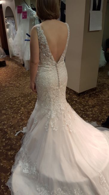 Torn between two dresses