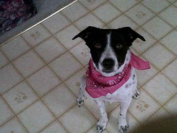 NWR: saturday night alone