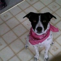 NWR: saturday night alone