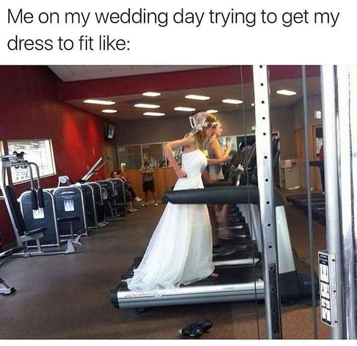 Can we do Meme Monday?