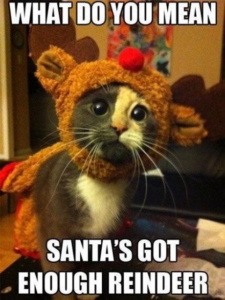 WW Secret Santa Thank You / Guessing Thread