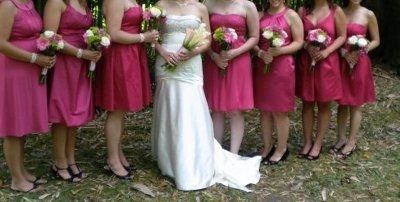Bridesmaid dresses... kind of concerned!