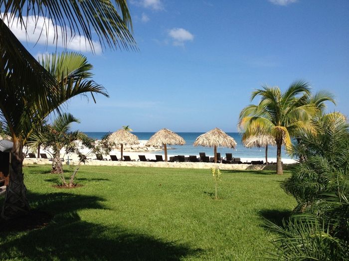 Back from Jamaican Honeymoon with Pics and Secrets Resort Info!