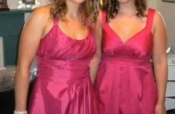 Bridesmaid dresses... kind of concerned!