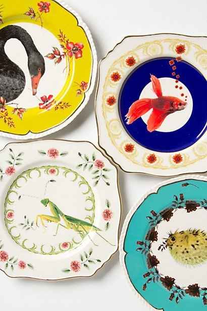 Let's talk dinnerware!