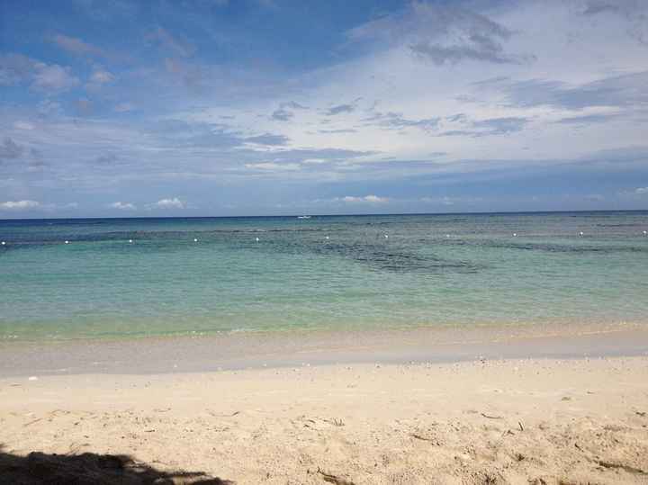 Back from Jamaican Honeymoon with Pics and Secrets Resort Info!