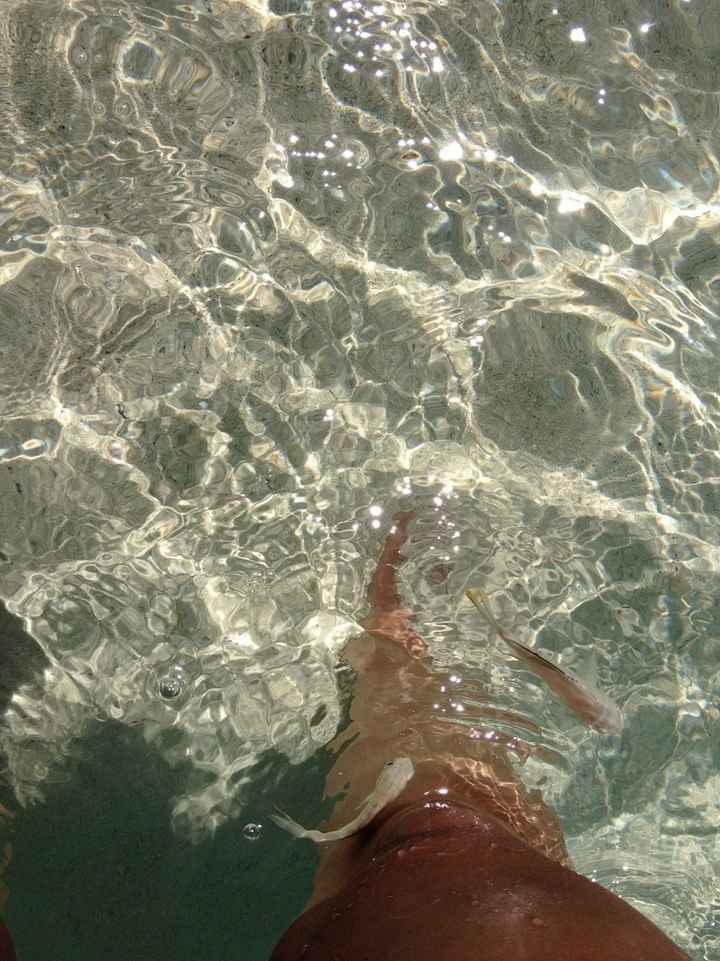 Back from Jamaican Honeymoon with Pics and Secrets Resort Info!