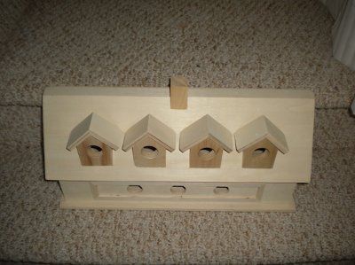 Finished my first DIY! Birdhouse cardbox *pics*