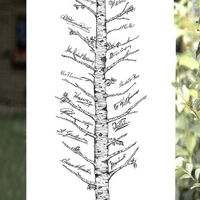 July 2022 brides!! - 1