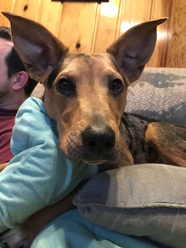 NWR: Show me your pups!