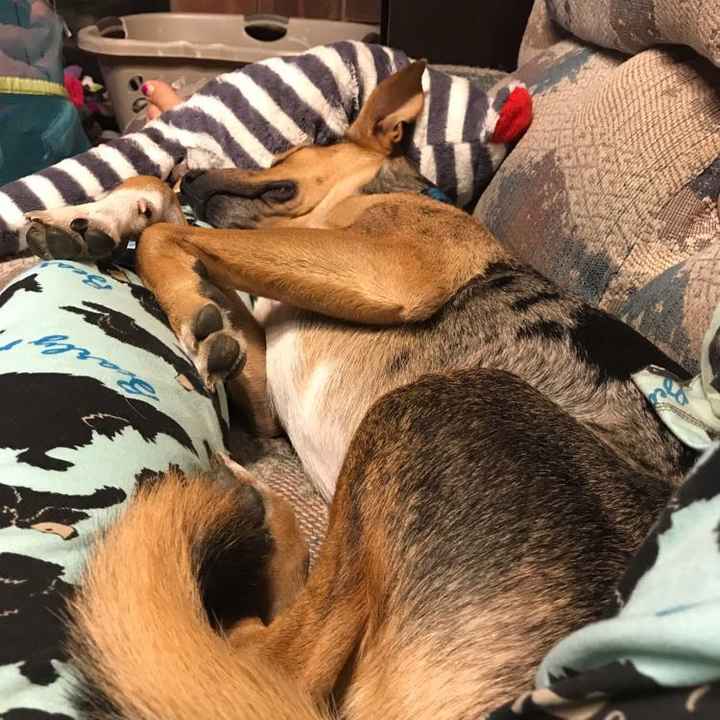 NWR snuggly Sundays!
