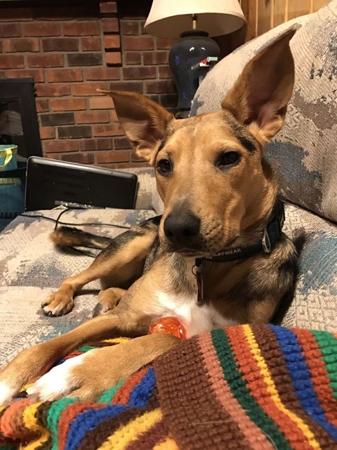 NWR: New puppy!