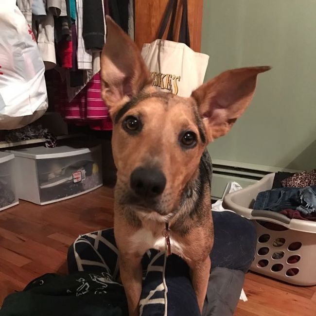 NWR: New pup!