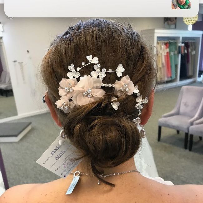 Hey ladies I need help finding a headpiece