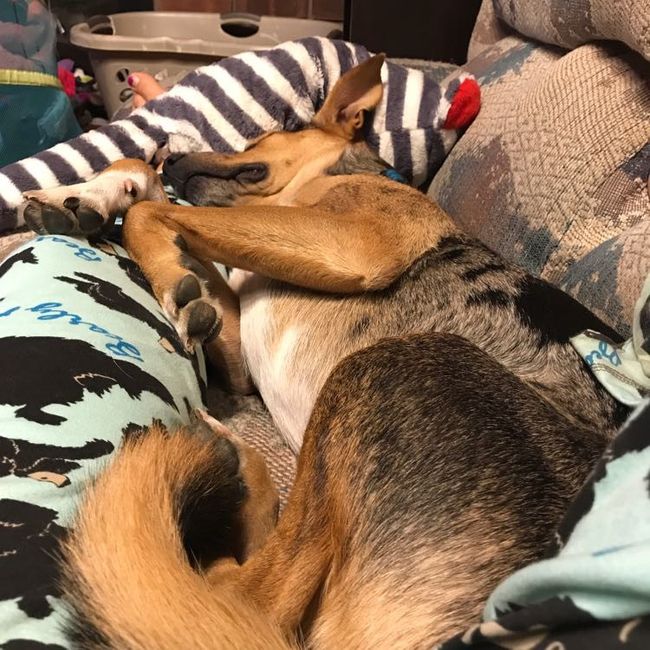 NWR snuggly Sundays!