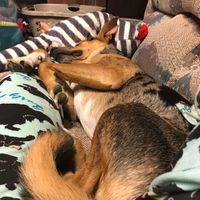 NWR snuggly Sundays!