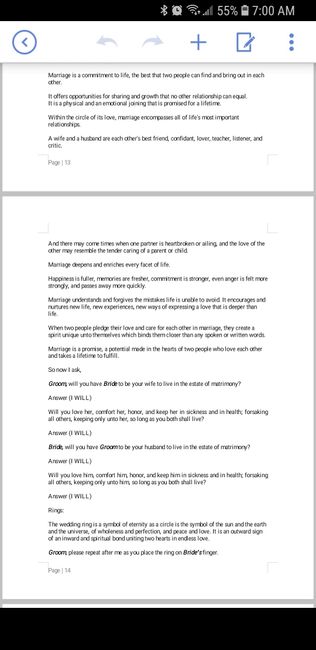Two officiants - script examples 12