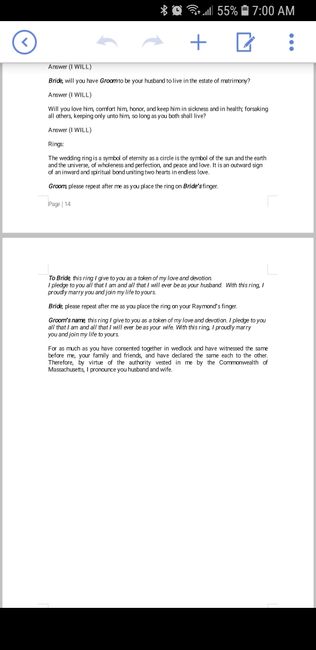 Two officiants - script examples 13