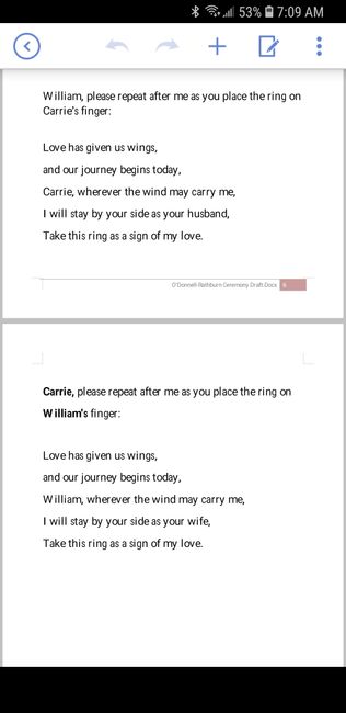 Two officiants - script examples 18