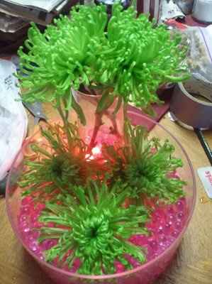 Centerpieces *pics*
