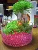 Centerpieces *pics*