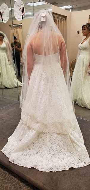 Back of dress