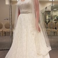 Wedding Dress Silhouettes! Ballgown, Mermaid, or Sheath? - 1