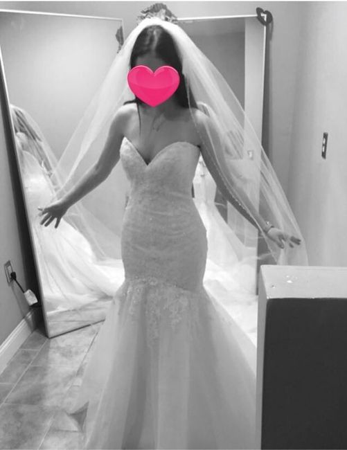 Let me see your veil!