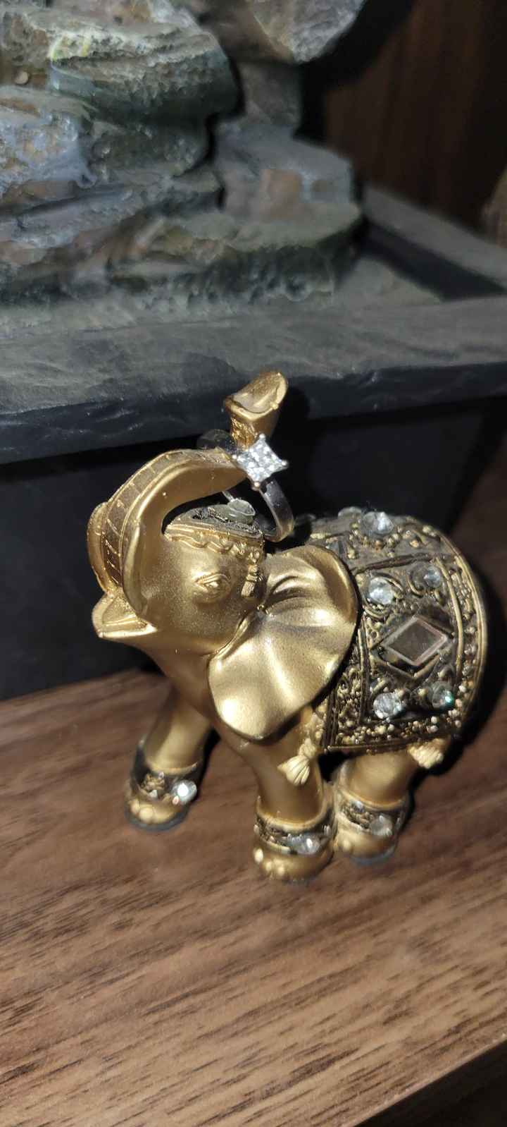 Brides of 2022! Show us your ring! - 1