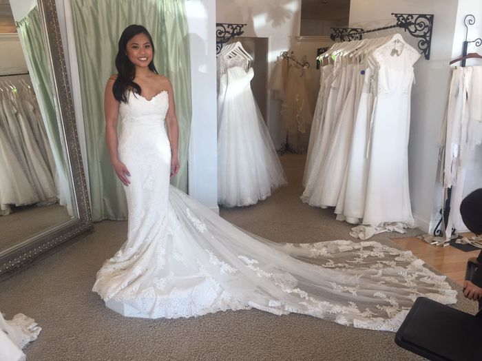 Ivory or all white?