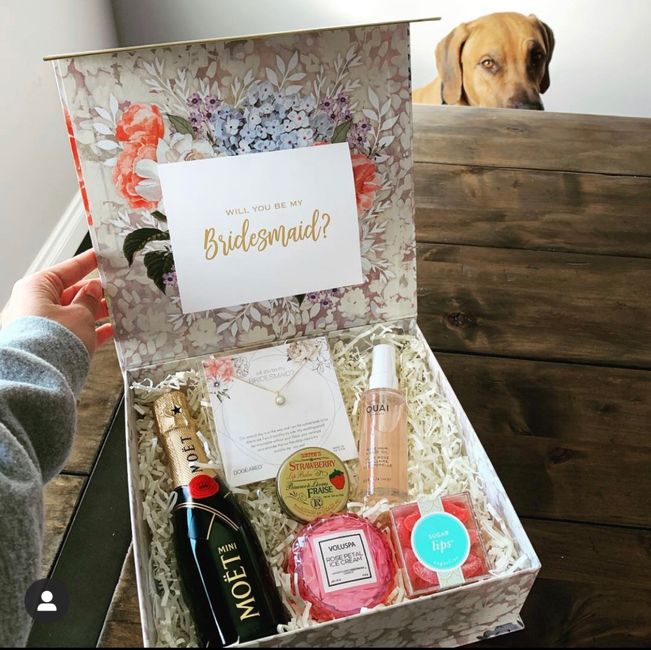 Bridesmaids proposal 1