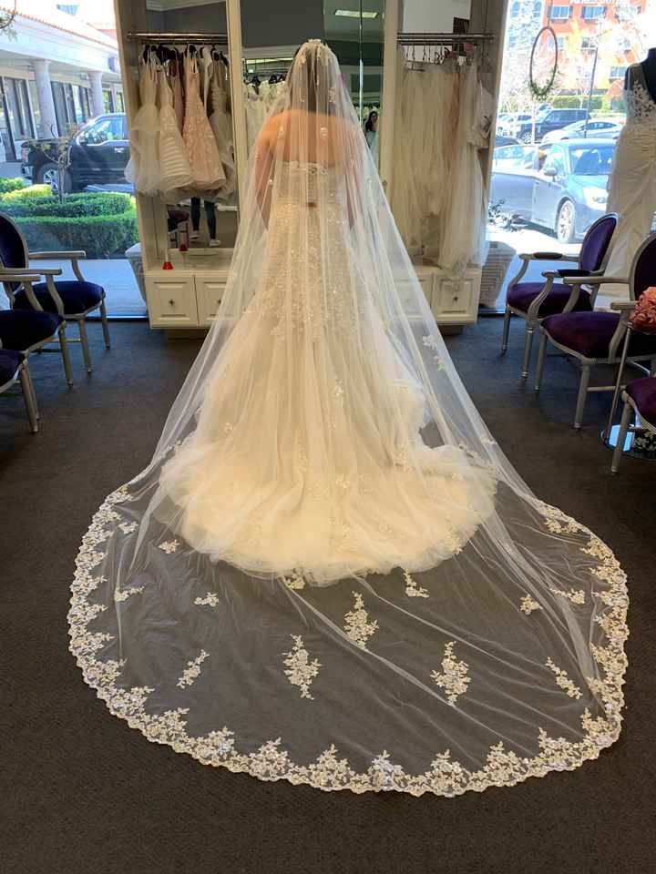 May i see your veils? - 1