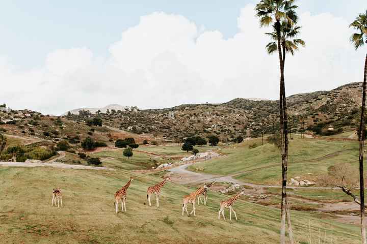 Bam - 02.22.20 // Pro pics! - 16