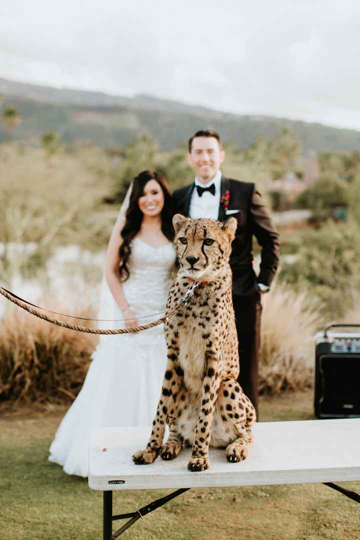 Bam - 02.22.20 // Pro pics! - 24