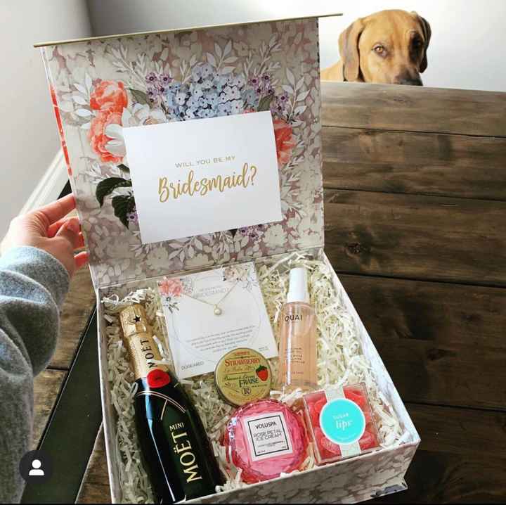 Bridesmaids proposal - 1