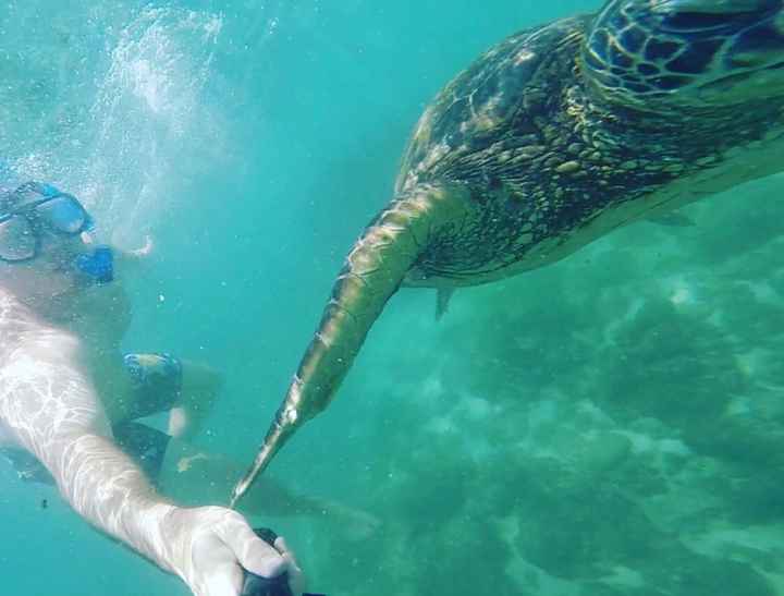 Best Island in Hawaii for Honeymoon? - 1