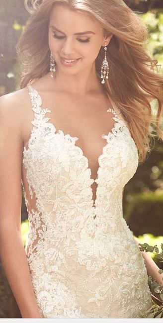 the dress